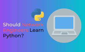 why should network engineers learn python